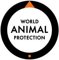 Support the World Animal Protection Organization 🐕🦺🐈⬛
